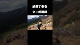 絶景すぎる八ヶ岳の登山道がこちらです　#Shorts