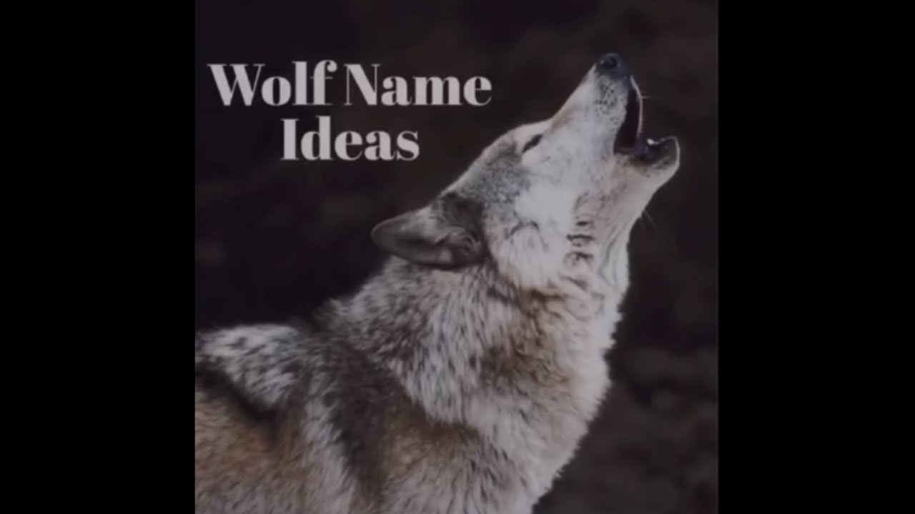 Wolf Name Ideas
