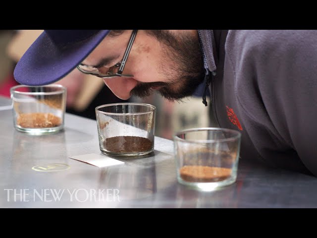 Inside the World of High-End Coffee | Annals of Obsession | The New Yorker class=