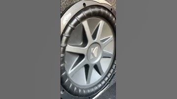 12 inch cvx kicker subwoofer lil flex #kickeraudio #sub #subwoofer #12inch #flex