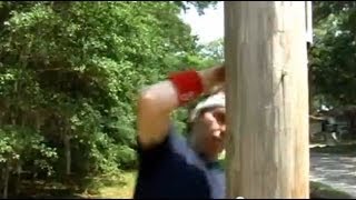 Runs Into Telephone Pole