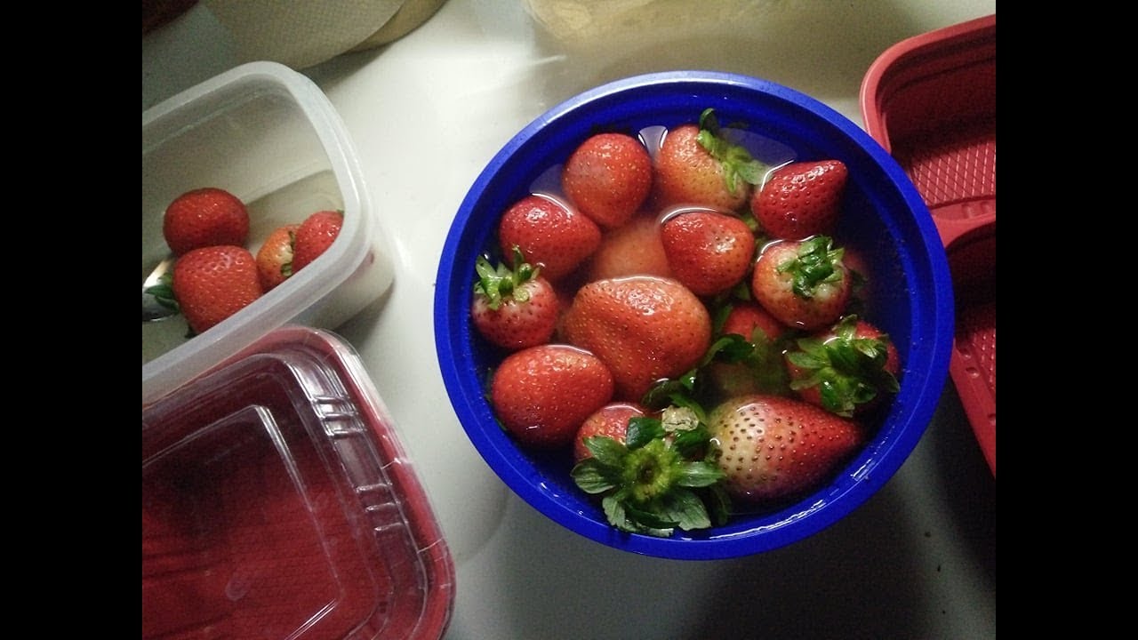 Vlogmas2019 Day 22 / How To Store Strawberries to Stay Fresh for Weeks
