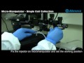 Micro-Manipulator - Single Cell Collection