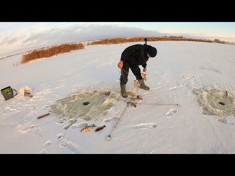 ИНАЧЕ И БЫТЬ НЕ МОГЛО!!! ТОЛЬКО ОПУСТИЛ И СРАЗУ ЕСТЬ! Рыбалка на ХАПУГУ в далёкой СИБИРИ