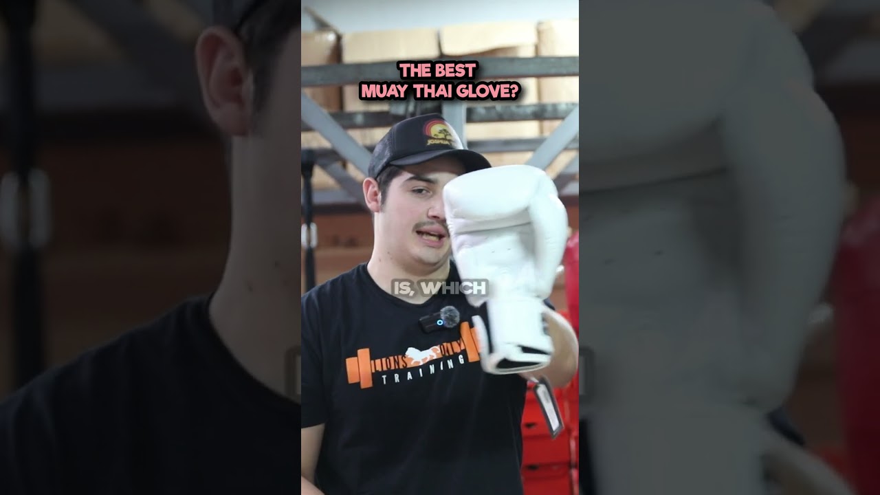 Why You Should Train Muay Thai With Twins Special Gloves
