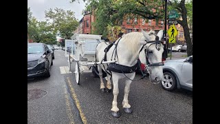 White Funeral Carriage The Family Funeral Home St Johns Baptist Church Jersey City NJ Sept 9 2021