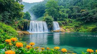 Download Lagu Tranquil Healing Sounds 🌿 Music Therapy for Anxiety Relief and Stop Overthinking, Deep Sleep #2 MP3