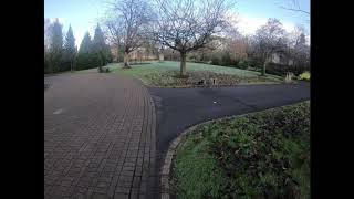 Distraction Trail Training