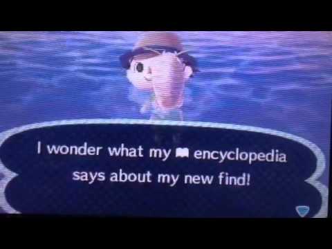 Animal Crossing New Leaf I Got A Giant Isopod Youtube