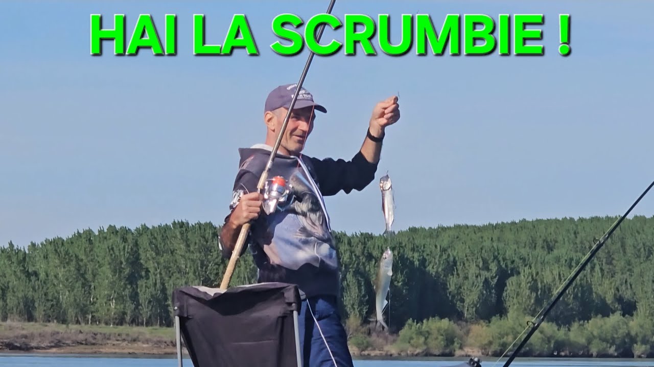 Am prins SCRUMBIE de Paște , 3 zile de pescuit pe bătrâna Dunăre