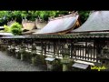 熊野古道(歌詞字幕入り)水森かおり cover by etuko