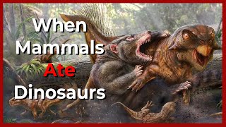Repenomamus - The Dinosaur Killer