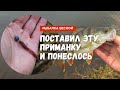 Поставил ЭТУ ПРИМАНКУ и ПОНЕСЛОСЬ. Рыбалка на ультралайт спиннинг весной. Микроджиг и мормышинг.