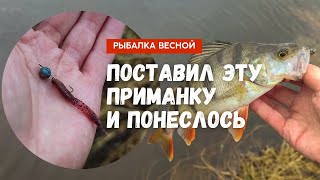 Поставил ЭТУ ПРИМАНКУ и ПОНЕСЛОСЬ. Рыбалка на ультралайт спиннинг весной. Микроджиг и мормышинг.