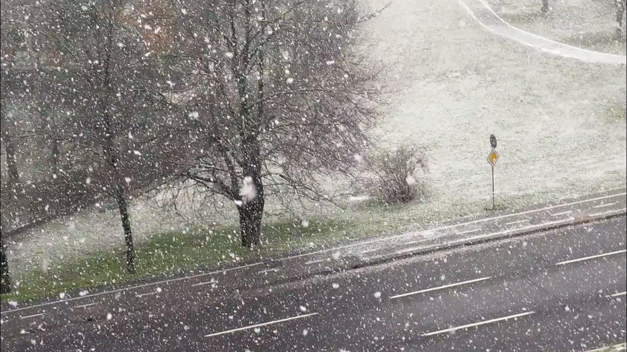 snow in bologna YouTube
