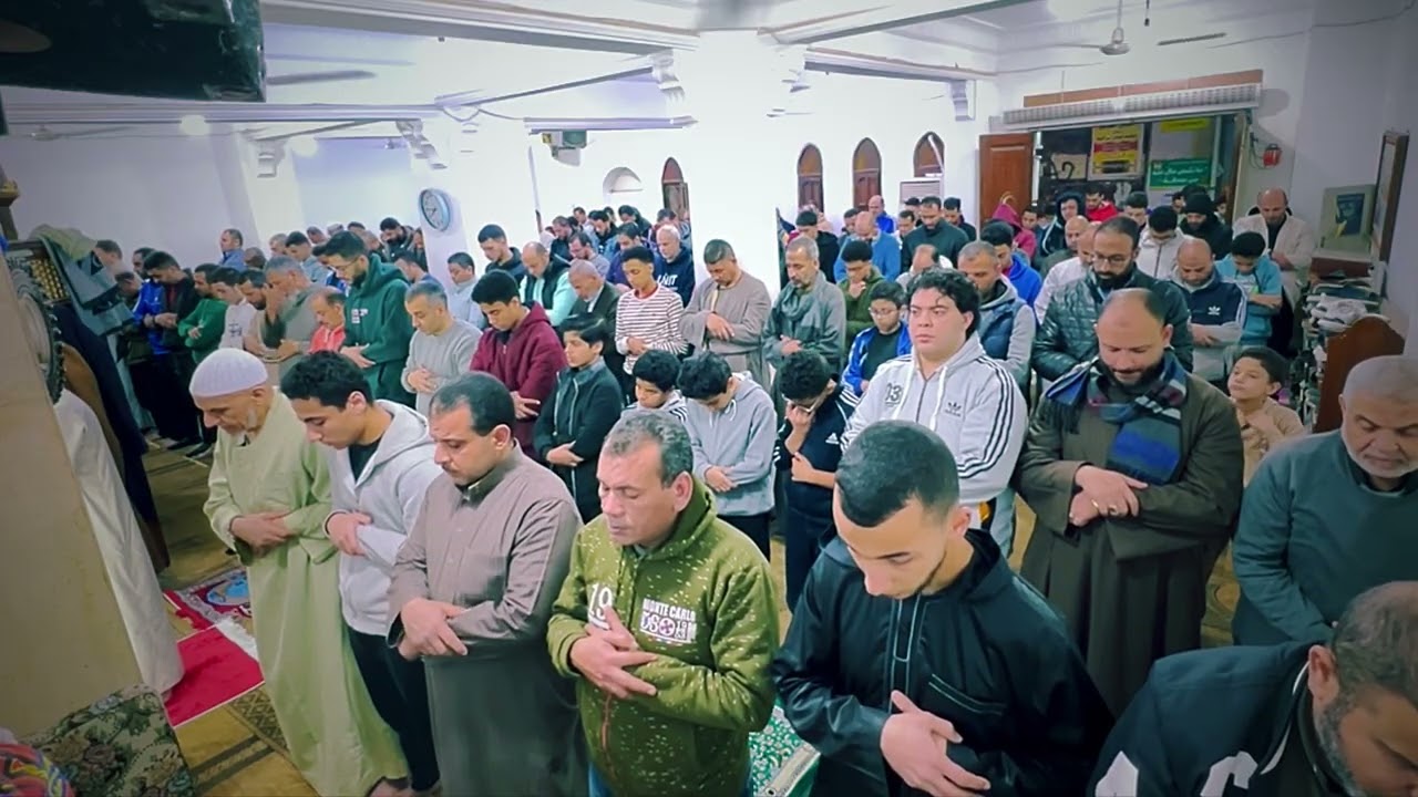 خشوع مبكي 🌙الليلة التاسعة تراويح 2026 | تلاوة مؤثرة من سورة المائدة والأنعام–القارئ محمد حسام الدين 