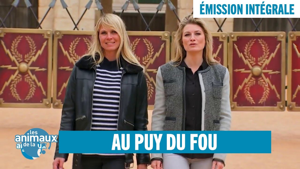 Les Animaux du Puy du Fou - Émission intégrale