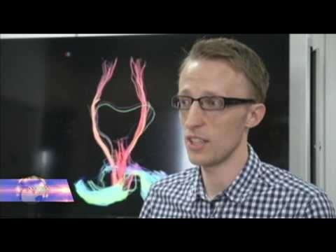 რატომ სწავლობენ ტვინის ასაკს?