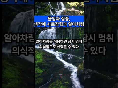 몰입과 집중,생각에 사로잡힘과 알아차림 #알아차림 #본래면복