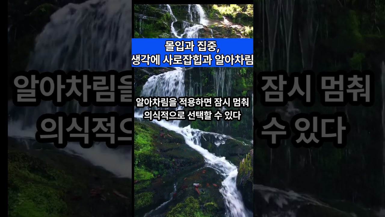 몰입과 집중,생각에 사로잡힘과 알아차림 #알아차림 #본래면복 — Transcript