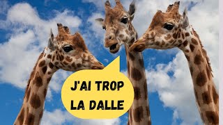 Argot et expressions que tu dois connaître 🇫🇷 5 Argot et expressions que tu dois connaître 🇫🇷 5