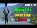What If Free Fire Ban in India (Youtuber's Reaction) - Desi Gamers