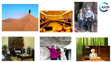 Tim Badman: The contribution of World Heritage to nature conservation
