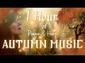 Autumn Magic 🍂 1 Hour of Relaxing Music in an Enchanted wood 🍄 By Alwyn Oak