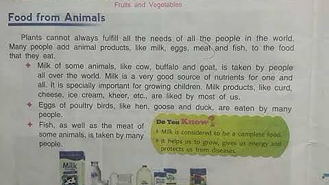 DAV Nahan Class-III Science Revision Lesson-8, Part-4