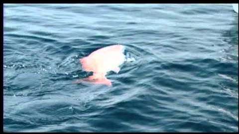 From Data to Management