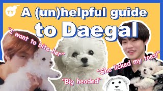 A (un)helpful guide to NCT's  Zhong Daegal