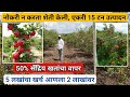 50% सेंद्रिय खतांचा वापर करून डाळिंब शेतीतून घेतात एकरी 15 टन उत्पादन | Dalimb sheti mahiti