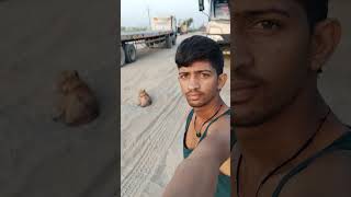 mobile crane video zoomlion 85 tan video