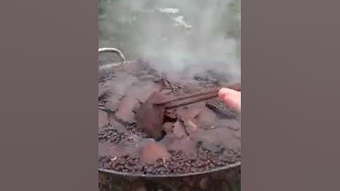 Công thức tuyệt diệu từ hà thủ ô đỏ và đỗ đen xanh lòng để chữa tóc rụng tóc bạc sớm lh 035.606.4883