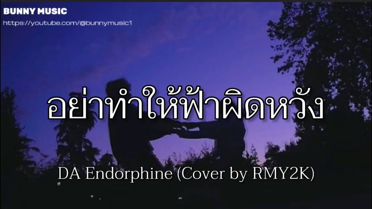 อย่าทำให้ฟ้าผิดหวัง - DA Endorphine (Cover by RMY2K) (เนื้อเพลง)