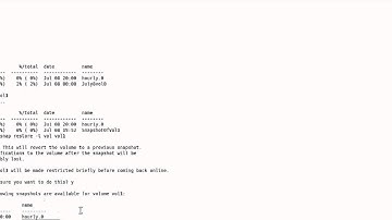 How to Revert a Volume to a Selected Snapshot Copy in Data OnTap CLI by Nicholas Lee Fagan