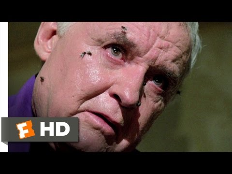 The Amityville Horror (1/12) Movie CLIP - Flies Attack Father Delaney (1979) HD