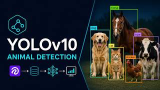 Animal Detection using YOLOv10 | End-to-End Object Detection with Roboflow & Python Net Worth