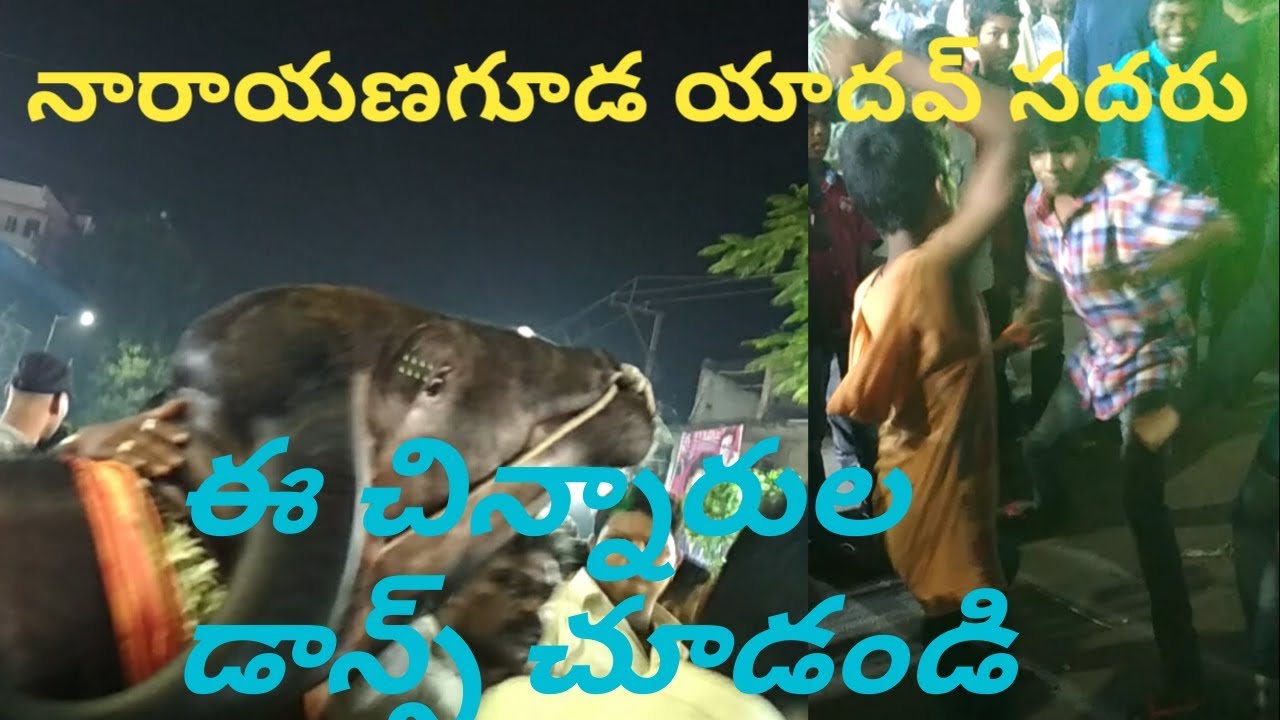 Sadar Festival 2017 l Sadar Festival Ceflebrations at Narayanaguda l Hyderabad