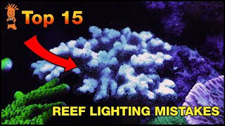 Reef Lighting Mistakes  Our biggest fails lighting saltwater aquariums.