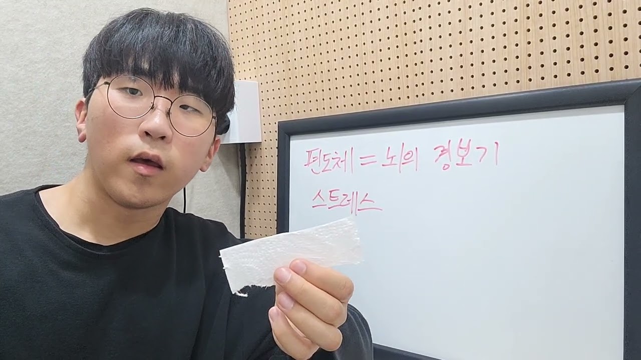 편도체란? (말하기 연습 28일차)