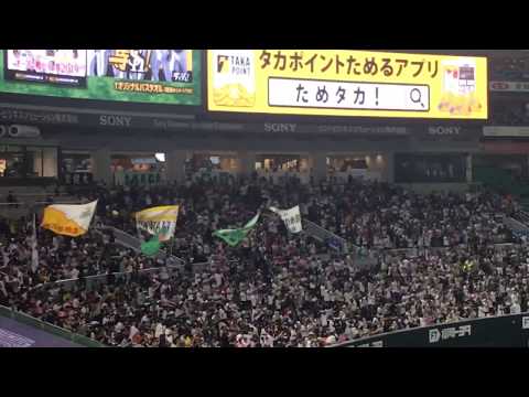 2019.3.2 阪神タイガース対福岡ソフトバンクホークス オープン戦 ホークス試合前1-9