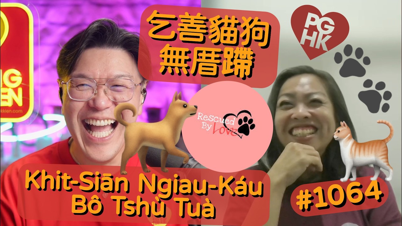 PGHK 1074 Khit-Siān Ngiau-Káu Bô Tshù Tuà 乞善貓狗無厝蹛 (Stray Dogs and Cats)