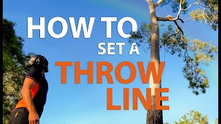 How to set a line in the tree for an arborist