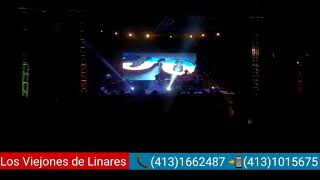 Los Viejones de Linares - Chiquilla cariñosa - en vivo