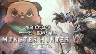 【MONSTER HUNTER】くそ雑魚狸、もう一度世界を見る8【WORLD】