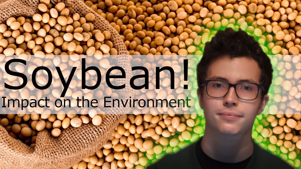 Soybean Bad for the environment? YouTube
