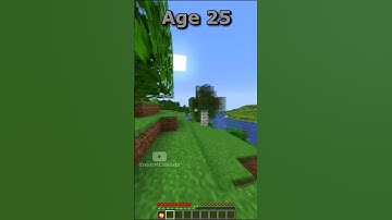 Bases at Different Ages in Minecraft (World