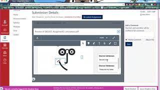 How to use CANVAS: How to view annotations and feedback on grades Net Worth