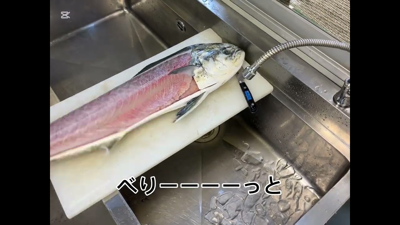 夕飯はお魚だよ」で子どもが喜ぶ世界に！ 伊勢志摩の魚定期便「UOLOVE